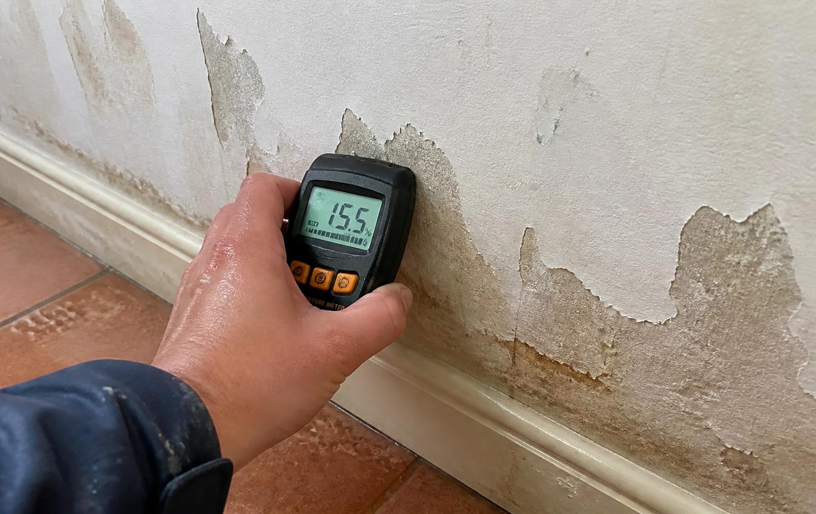 A moisture meter being held against a damp wall during a survey