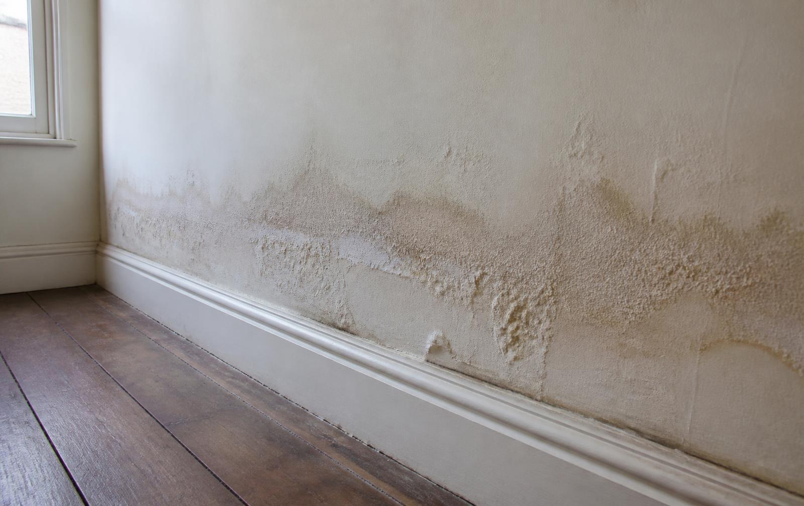 A tidemark of rising damp on an interior wall with paint and plaster lifting above the skirting board